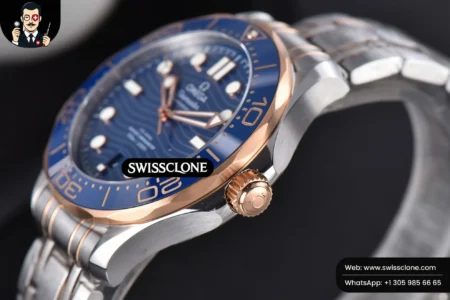 Omega Seamaster Diver RG/SS 300M 42mm Blue Dial RG/SS High Resolution View