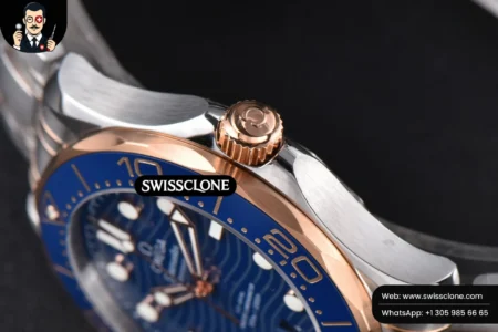 Omega Seamaster Diver RG/SS 300M 42mm Blue Dial RG/SS High Resolution View