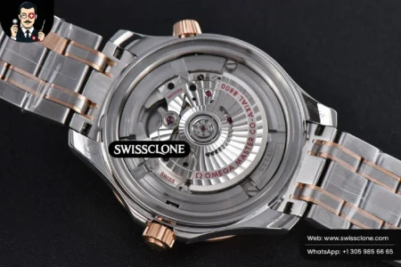 Omega Seamaster Diver RG/SS 300M 42mm Blue Dial RG/SS High Resolution View