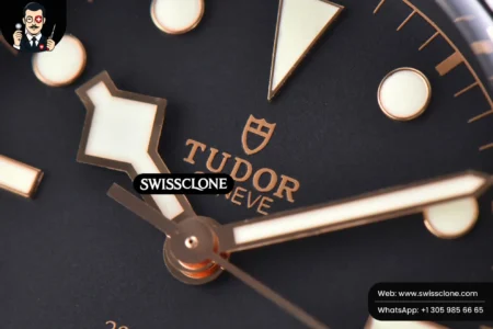 Black Bay 41MM ZF Super Clone - 4