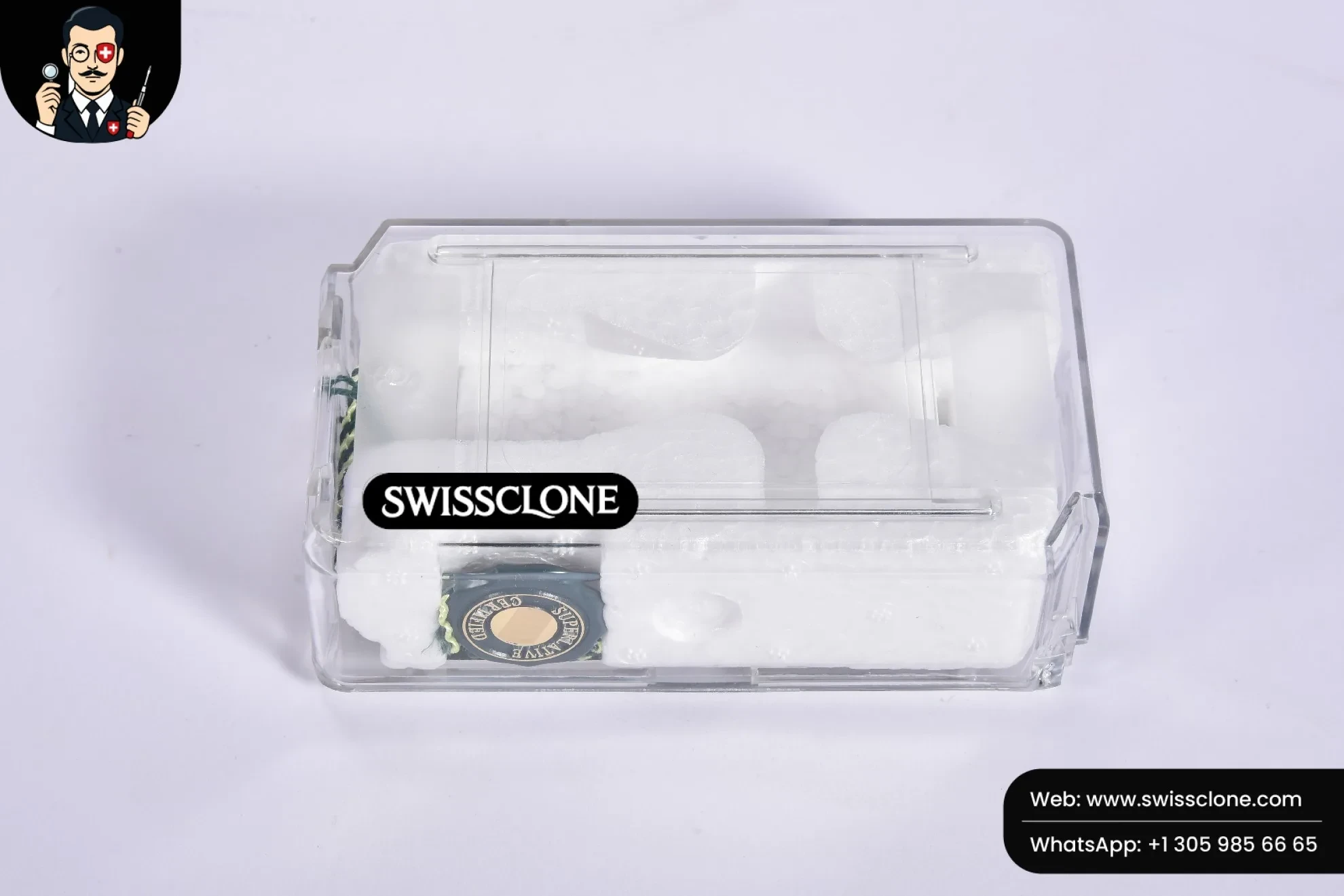 Rolex Travel Box And Card 1:1 Super Clone - On-Wrist Presence View